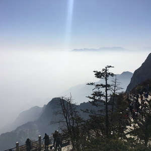 草莓视频深夜福利在线观看
